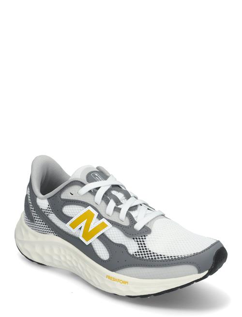 New Balance Freshfoam Arishi V4 New Balance White