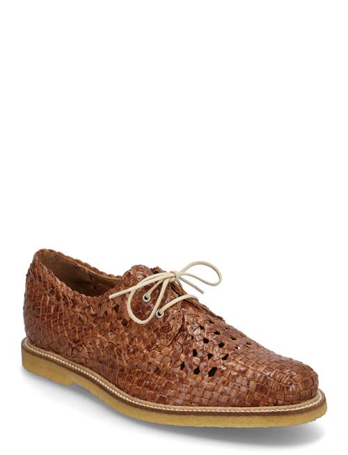 Shoes - Flat - With Lace ANGULUS Brown