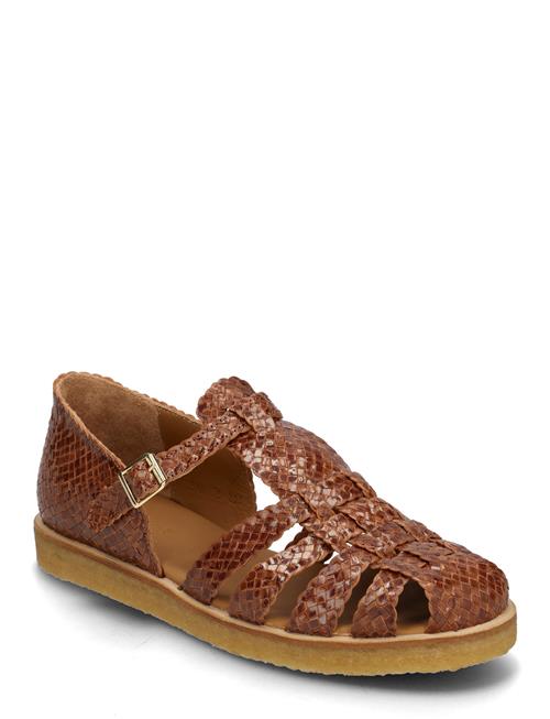 Sandals - Flat - Closed Toe ANGULUS Brown
