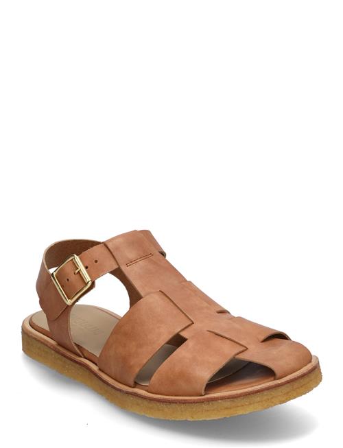 Sandals - Flat - Closed Toe - Op ANGULUS Brown