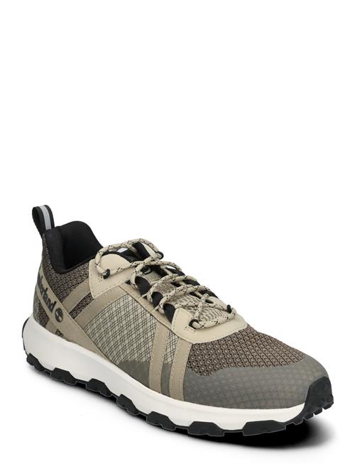 Low Lace Up Sneaker Timberland Green