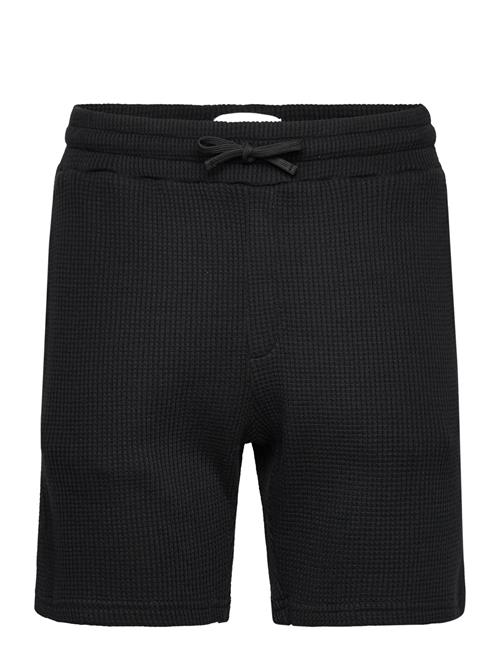 Waffle Nero Shorts Nikben Black