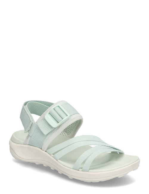 Women's District 4 Backstrap - Cucu Merrell Green