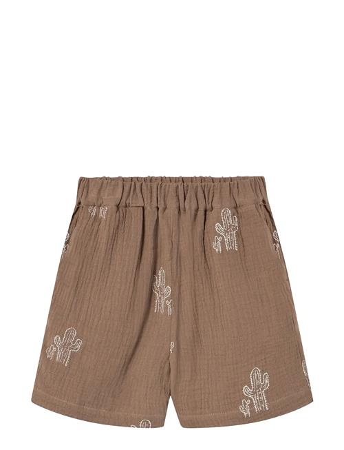 Hello Shorts Fliink Brown