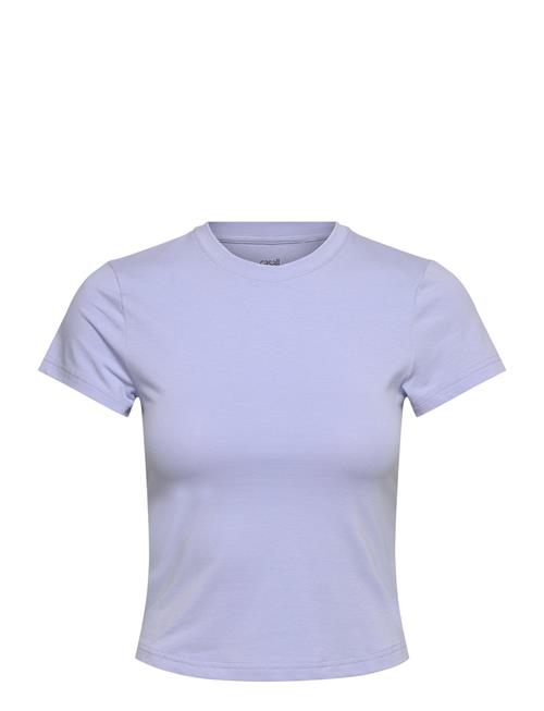 Cotton Blend Slim Tee Casall Purple