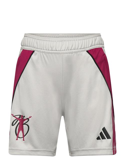 Jb Tiro Sho Y Adidas Performance Grey