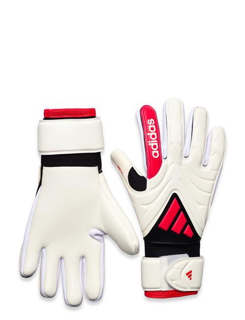 Copa Gl Lge J Adidas Performance White