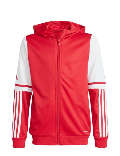 Sq25 Hood Y Adidas Performance Red