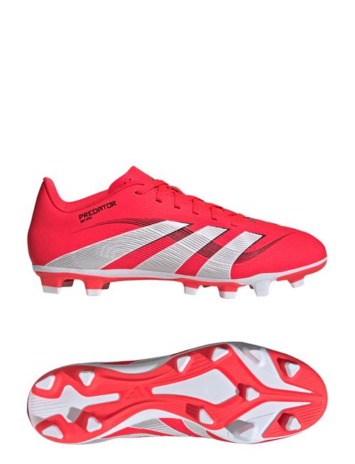 Predator Club Fg/Mg Adidas Performance Red