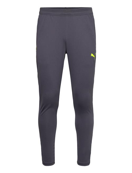 Individualcup Training Pants PUMA Grey