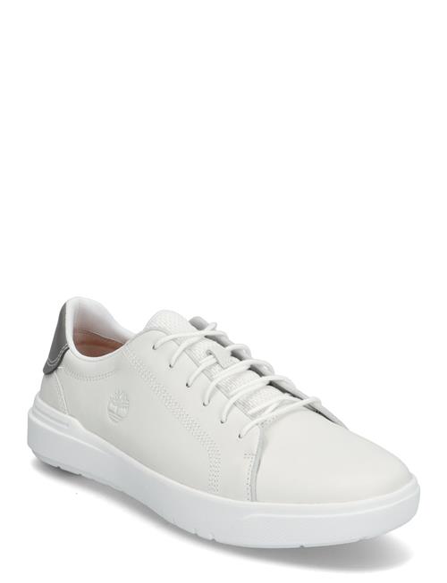 Low Lace Up Sneaker Timberland White