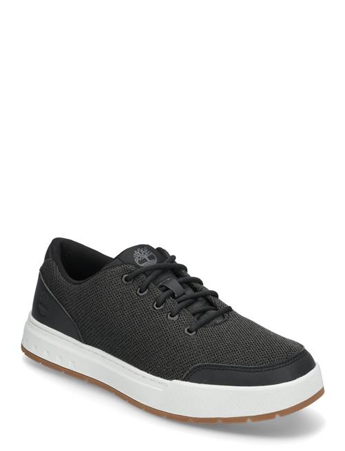 Low Lace Up Sneaker Timberland Black