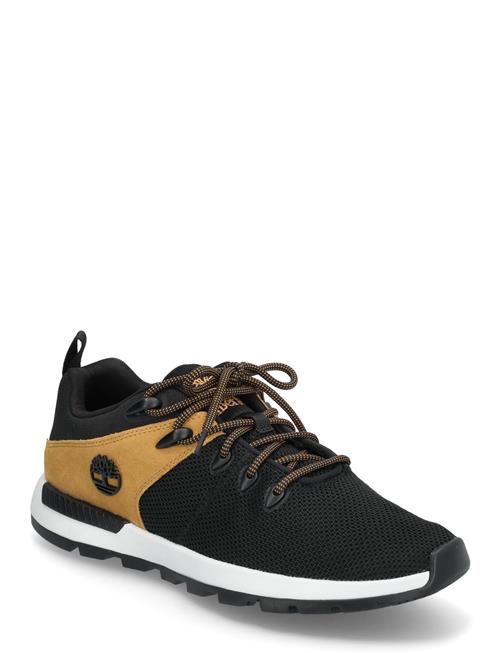 Low Lace Up Sneaker Timberland Black