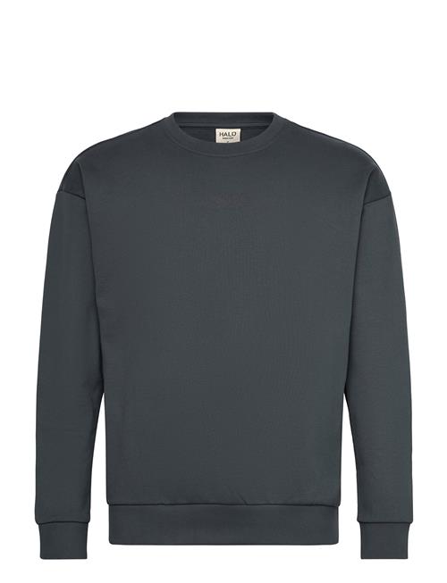 Halo Graphic Crew 01 HALO Grey