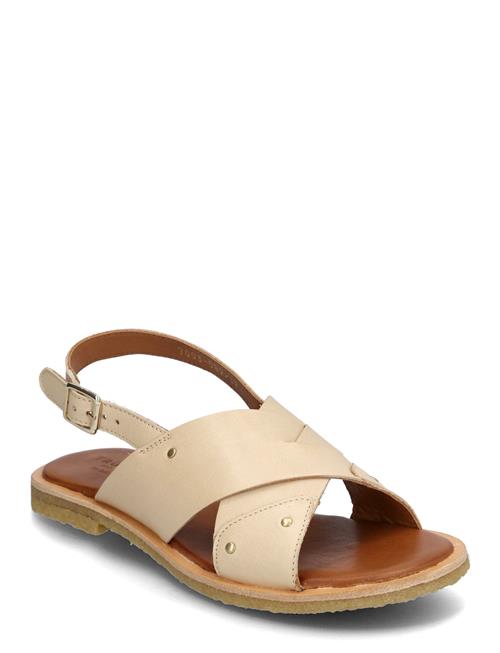 Trotter Billi Bi Cream