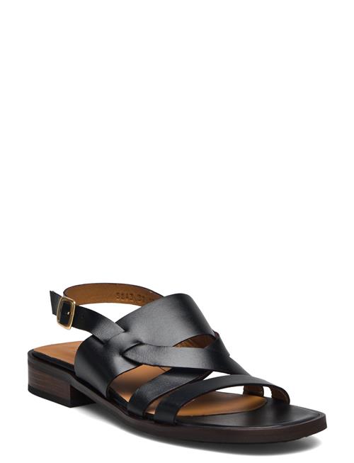 Sandals - Flat ANGULUS Black