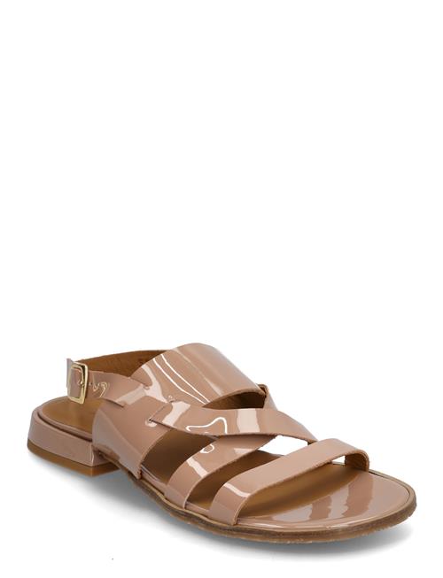 Sandals - Flat ANGULUS Brown