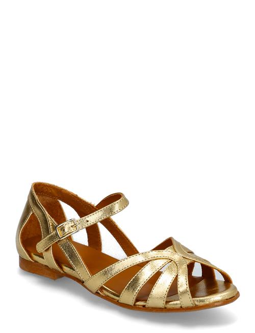 Sandals - Flat ANGULUS Gold