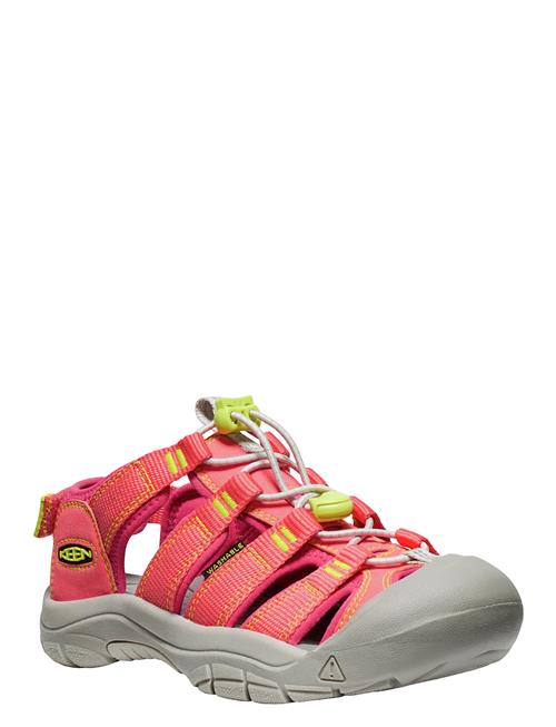 Ke Newport Boundless KEEN Red