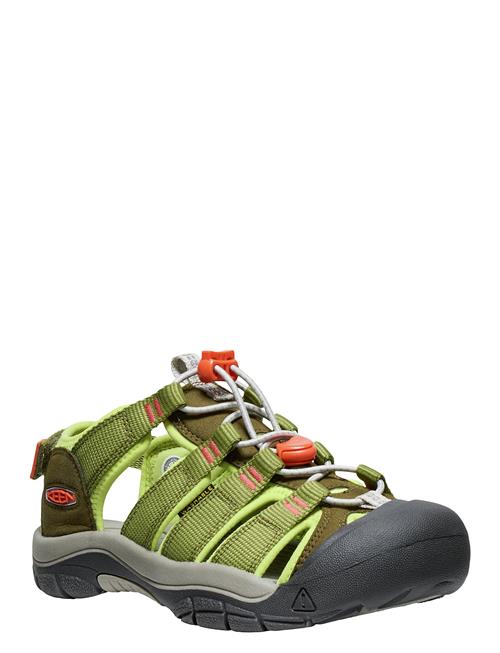 Ke Newport Boundless Y-Dark KEEN Green