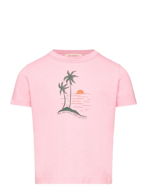Big Rooster Kid T-Shirt Pink 3Y THE ANIMALS OBSERVATORY Pink