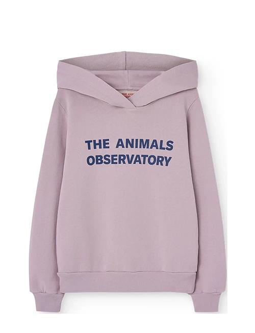 Taurus Kid Hoodie Lavand THE ANIMALS OBSERVATORY Pink