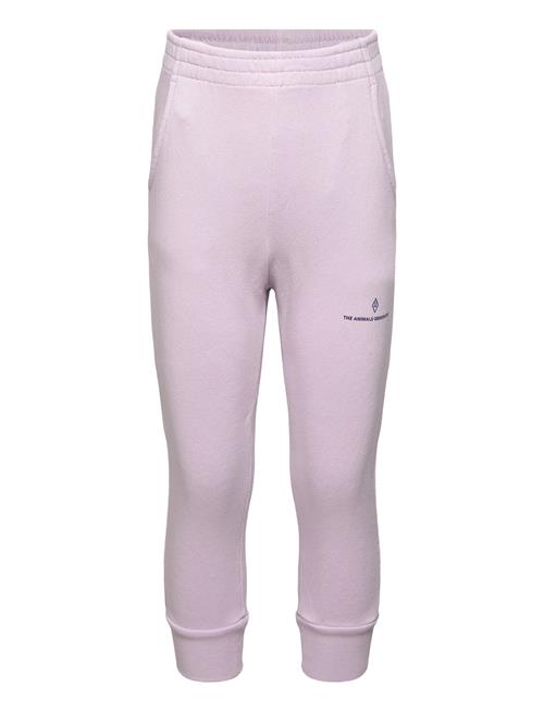 Draco Kid Sweatpants Lavand THE ANIMALS OBSERVATORY Purple