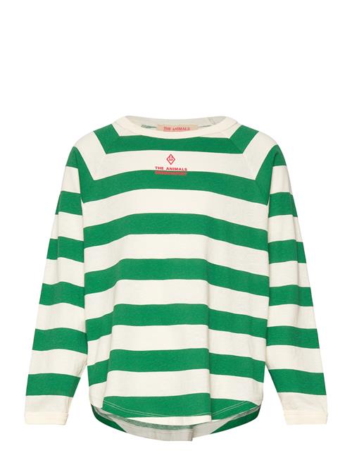 Anteater Kid Long Sleeve T-Shirt White THE ANIMALS OBSERVATORY Green