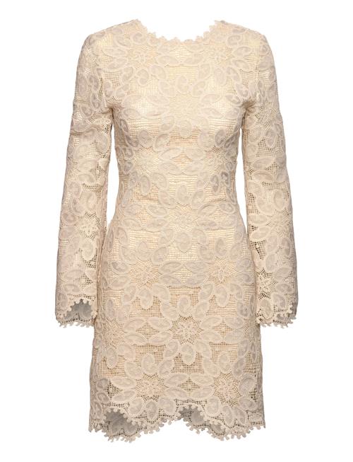 Imani Guipure Lace Mini Dress Malina Cream