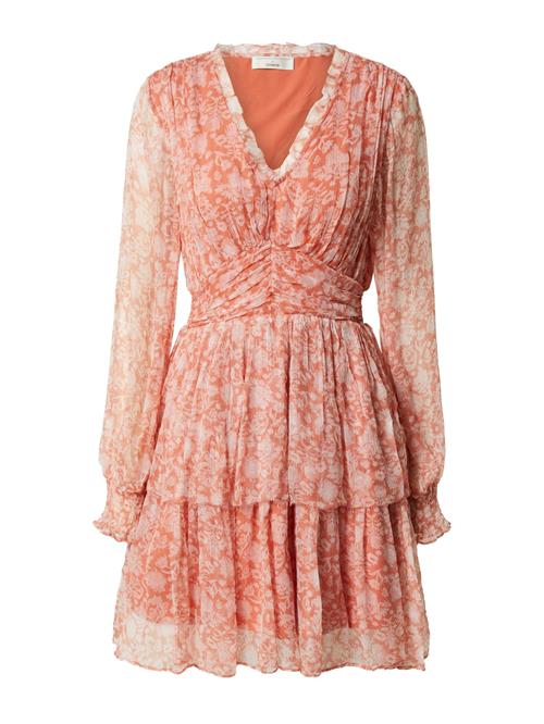 Guido Maria Kretschmer Women Kjole 'Maira'  orange / offwhite