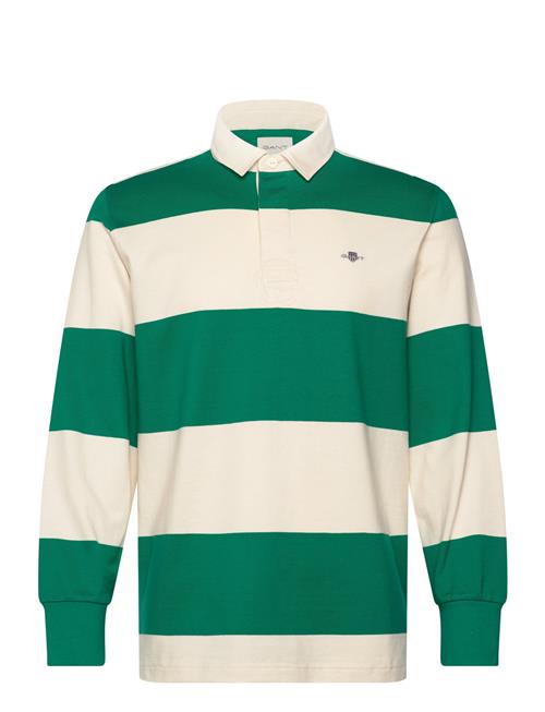 Barstripe Rugger GANT Green