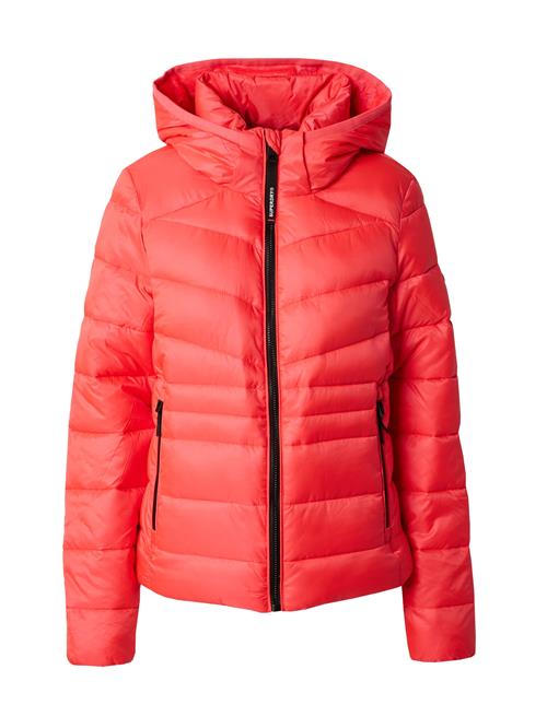 Superdry Vinterjakke 'Fuji'  knaldrød