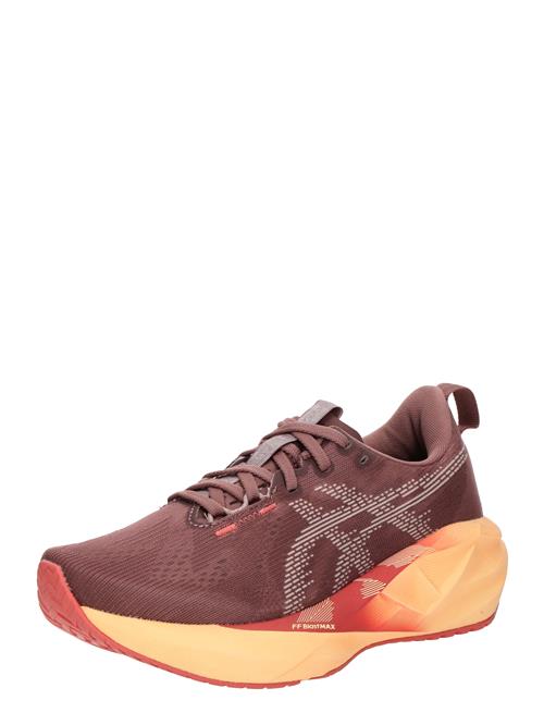 ASICS Løbesko 'NOVABLAST 5'  grå / bordeaux
