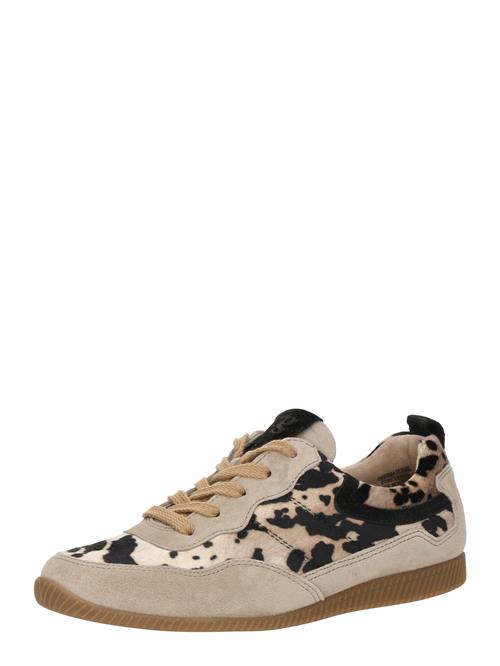 Paul Green Sneaker low  lysebrun / sort