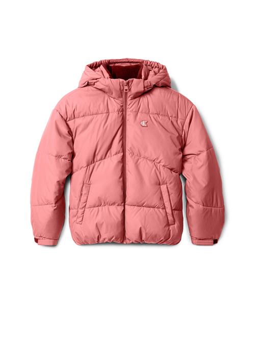 Calvin Klein Jeans Overgangsjakke  bær