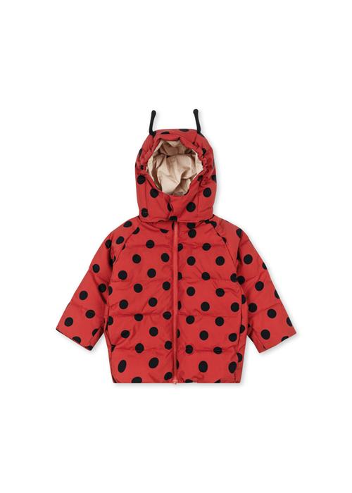 Konges Sløjd Nuka Ladybug Puffer-jakke Lady Dot  Nuka Ladybug Jacket Grs Lady Dot 5-6 Y  Rød  5-6 år  kvinde