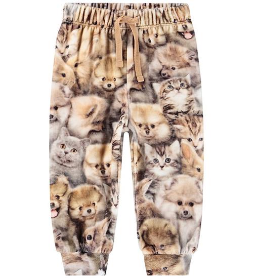Molo Sweatpants - Simeon - Fuzzy Fluffy