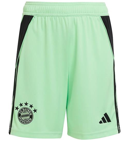 adidas Performance Shorts - FC bayern München 25/26 Målmand - Gl