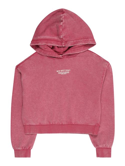 s.Oliver Sweatshirt  hindbær / sort / hvid