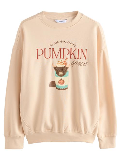 Next Sweatshirt  beige / blandingsfarvet