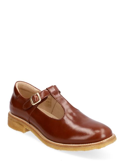 Shoes - Flat - With Buckle ANGULUS Brown
