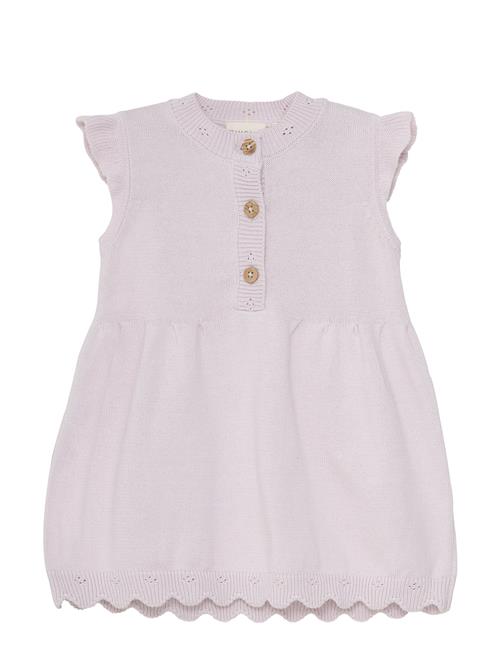Dress Knit Fixoni Purple
