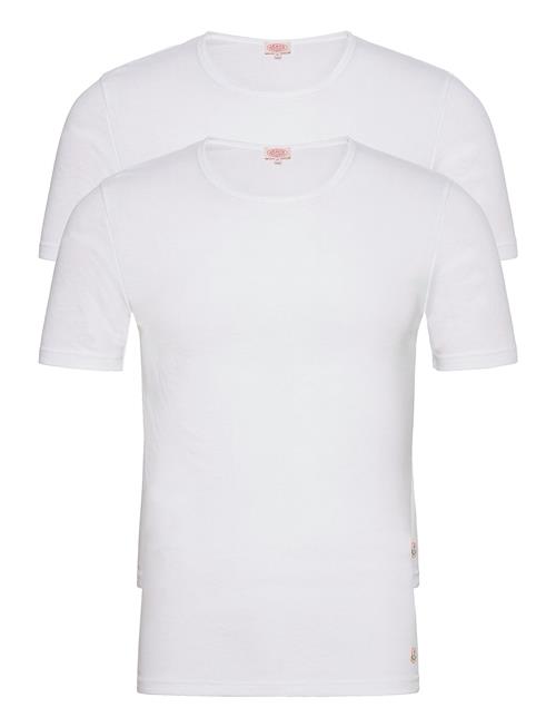 2 Pack T-Shirt Armor Lux White