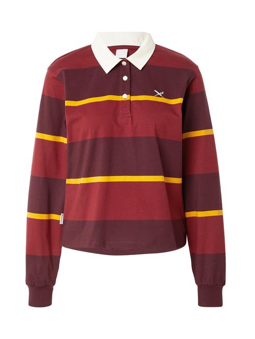 Iriedaily Shirts  mørkegul / vinrød / cranberry / hvid
