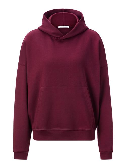 Rich & Royal Sweatshirt  bordeaux