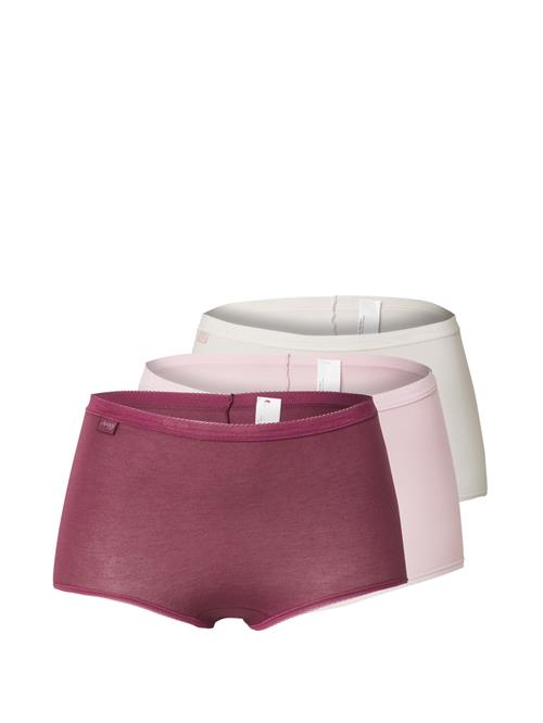 SLOGGI Panty 'Basic+'  kit / rosé / bordeaux