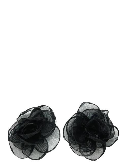 Pcolipa Earrings Box D2D Pieces Black