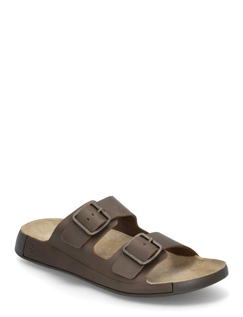 Cozmo M ECCO Brown
