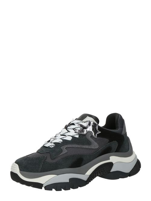 ASH Sneaker low 'ADDICT01'  antracit / sort / sølv