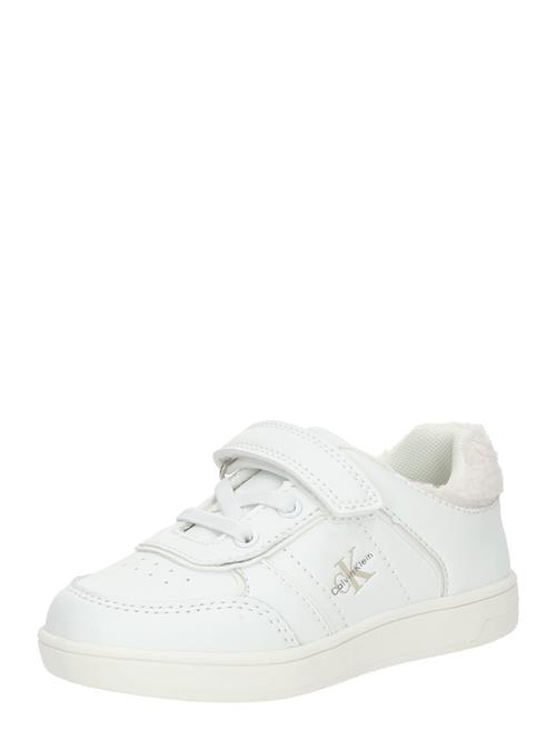 Calvin Klein Jeans Sneakers  greige / mørkegrå / hvid